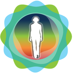 dtw logo